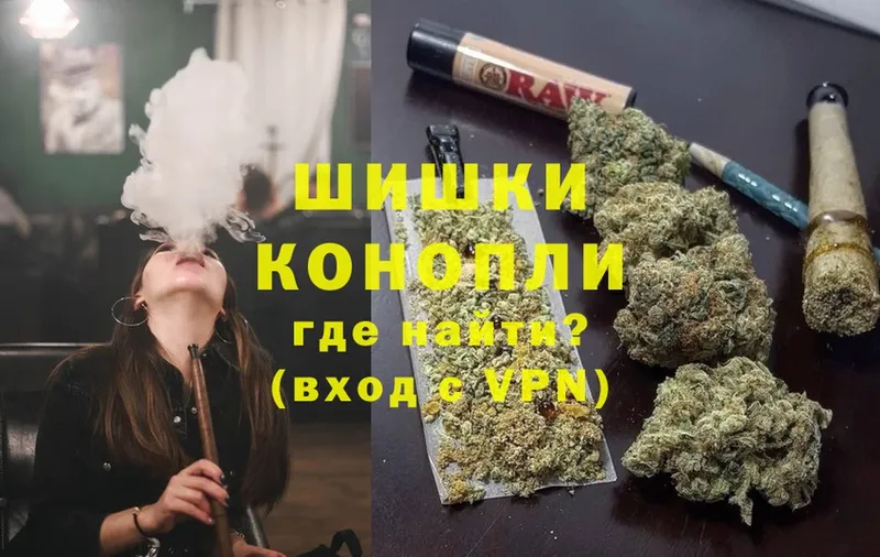 купить закладку  Алейск  МАРИХУАНА SATIVA & INDICA 